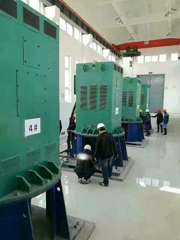 漳州某污水处理厂使用我厂的立式高压电机安装现场